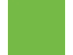 Alpina Color Grass Green seidenmatt 250 ml