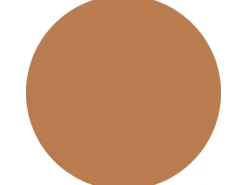 Alpina Wandfarbe Pure Farben Kupferorange 2,5 l