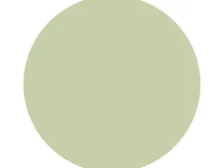 Alpina Wandfarbe Pure Farben Pistaziengrün 2,5 l