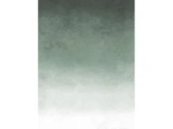 Art for the Home Fototapete Fading groen 280 x 200 cm