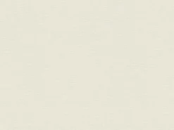 A.S. Création Vliestapete Sumatra Uni Creme FSC®