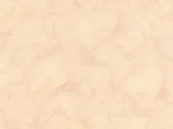 A.S. Creation Vliestapete Uni Beige FSC®