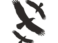 Aufkleber "Kontur Vogel" 30 cm x 20 cm PVC-Folie