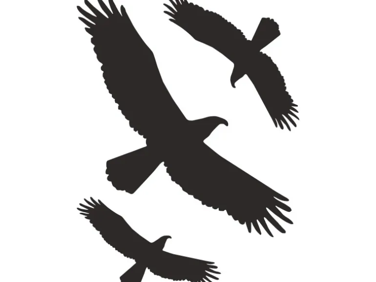 Aufkleber "Kontur Vogel" 30 cm x 20 cm PVC-Folie