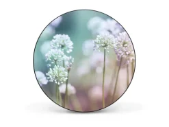 Banjado Magnettafel Rund Größe 47cm Magnetwand Schwarz Aus Metall Magnetpinnwand Pinnwand Motiv Lauchblüte