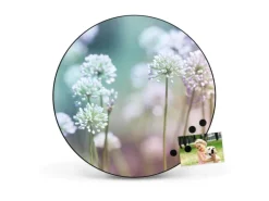 Banjado Magnettafel Rund Größe 47cm Magnetwand Schwarz Aus Metall Magnetpinnwand Pinnwand Motiv Lauchblüte