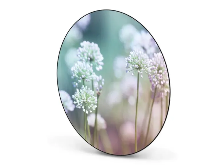 Banjado Magnettafel Rund Größe 47cm Magnetwand Schwarz Aus Metall Magnetpinnwand Pinnwand Motiv Lauchblüte