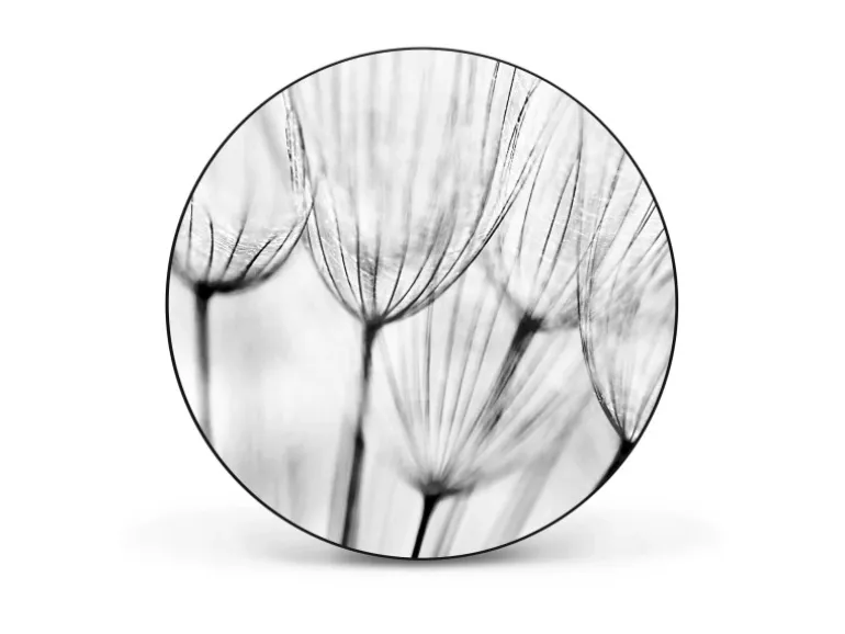 Banjado Magnettafel Rund Größe 47cm Magnetwand Schwarz Aus Metall Magnetpinnwand Pinnwand Motiv Pusteblumen Sw