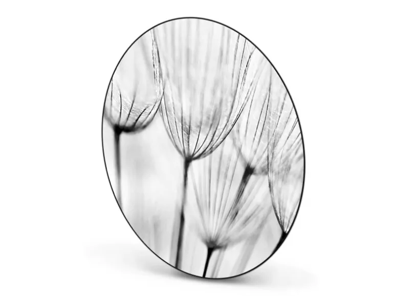 Banjado Magnettafel Rund Größe 47cm Magnetwand Schwarz Aus Metall Magnetpinnwand Pinnwand Motiv Pusteblumen Sw