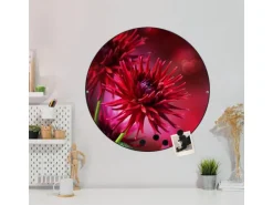 Banjado Magnettafel Rund Größe 47cm Magnetwand Schwarz Aus Metall Magnetpinnwand Pinnwand Motiv Rote Dahlien