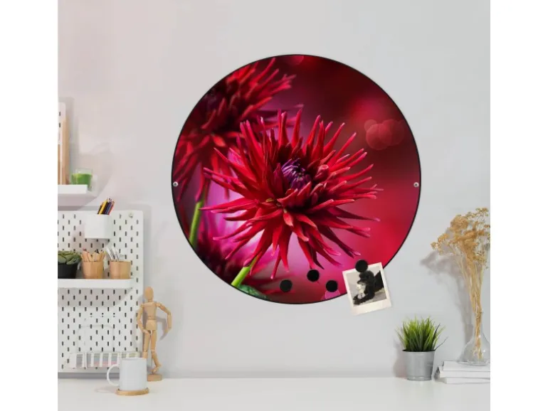Banjado Magnettafel Rund Größe 47cm Magnetwand Schwarz Aus Metall Magnetpinnwand Pinnwand Motiv Rote Dahlien