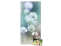 Banjado Magnettafel 37x78cm Magnetwand Silber Aus Metall Magnetpinnwand Pinnwand Inkl. 4 Magnete Motiv Lauchblüte