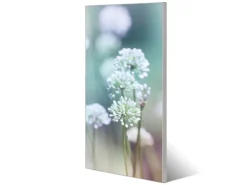 Banjado Magnettafel 37x78cm Magnetwand Silber Aus Metall Magnetpinnwand Pinnwand Inkl. 4 Magnete Motiv Lauchblüte