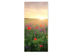 Banjado Magnettafel 37x78cm Magnetwand Weiß Aus Metall Magnetpinnwand Pinnwand Inkl. 4 Magnete Motiv Sommerfeld