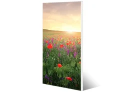 Banjado Magnettafel 37x78cm Magnetwand Weiß Aus Metall Magnetpinnwand Pinnwand Inkl. 4 Magnete Motiv Sommerfeld