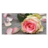 Banjado Magnettafel 78x37cm Magnetwand Weiß Aus Metall Magnetpinnwand Pinnwand Inkl. 4 Magnete Motiv Rosa Rose