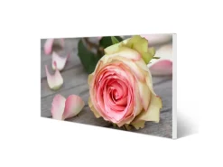 Banjado Magnettafel 78x37cm Magnetwand Weiß Aus Metall Magnetpinnwand Pinnwand Inkl. 4 Magnete Motiv Rosa Rose