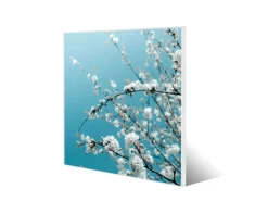 Banjado Magnettafel 50x50cm Magnetwand Weiß Aus Metall Magnetpinnwand Pinnwand Inkl. 4 Magnete Motiv Weiße Kirschblüten
