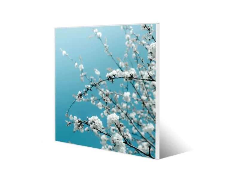 Banjado Magnettafel 50x50cm Magnetwand Weiß Aus Metall Magnetpinnwand Pinnwand Inkl. 4 Magnete Motiv Weiße Kirschblüten