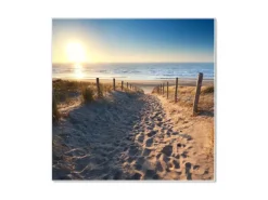 Banjado Magnettafel 50x50cm Magnetwand Weiß Aus Metall Magnetpinnwand Pinnwand Inkl. 4 Magnete Motiv Nordseestrand