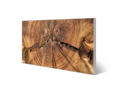 Banjado Magnettafel 78x37cm Magnetwand Silber Aus Metall Magnetpinnwand Pinnwand Inkl. 4 Magnete Motiv Jahresringe