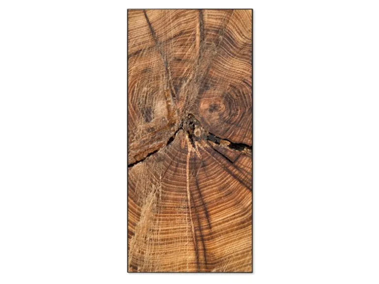 Banjado Magnettafel 37x78cm Magnetwand Schwarz Aus Metall Magnetpinnwand Pinnwand Inkl. 4 Magnete Motiv Jahresringe