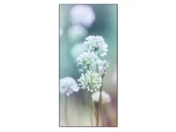 Banjado Magnettafel 37x78cm Magnetwand Schwarz Aus Metall Magnetpinnwand Pinnwand Inkl. 4 Magnete Motiv Lauchblüte
