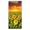 Banjado Magnettafel 37x78cm Magnetwand Silber Aus Metall Magnetpinnwand Pinnwand Inkl. 4 Magnete Motiv Sonnenblumenmeer