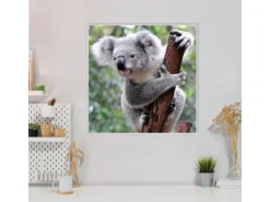 Banjado Magnettafel 50x50cm Magnetwand Weiß Aus Metall Magnetpinnwand Pinnwand Inkl. 4 Magnete Motiv Koala