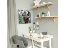 Banjado Magnettafel 50x50cm Magnetwand Weiß Aus Metall Magnetpinnwand Pinnwand Inkl. 4 Magnete Motiv Koala