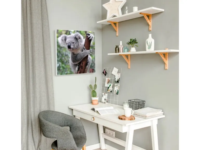 Banjado Magnettafel 50x50cm Magnetwand Weiß Aus Metall Magnetpinnwand Pinnwand Inkl. 4 Magnete Motiv Koala