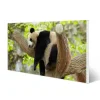 Banjado Magnettafel 78x37cm Magnetwand Weiß Aus Metall Magnetpinnwand Pinnwand Inkl. 4 Magnete Motiv Panda