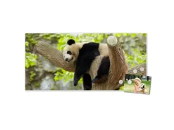 Banjado Magnettafel 78x37cm Magnetwand Weiß Aus Metall Magnetpinnwand Pinnwand Inkl. 4 Magnete Motiv Panda