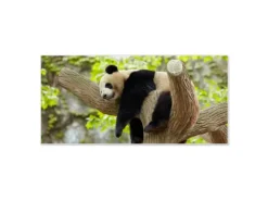 Banjado Magnettafel 78x37cm Magnetwand Weiß Aus Metall Magnetpinnwand Pinnwand Inkl. 4 Magnete Motiv Panda