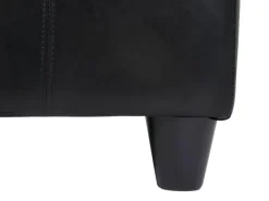 BERLINLODGE Aufbewahrungs-Truhe Sitzbank Lars 45x112x45cm Schwarz Leder & Kunstleder