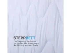 Bestlivings 4 Jahreszeitenbett mit Blauer Biese 240 cm x 260 cm