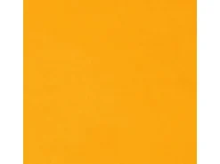 Bestlivings Kissenhülle Ellen 40 x 60 cm Orange
