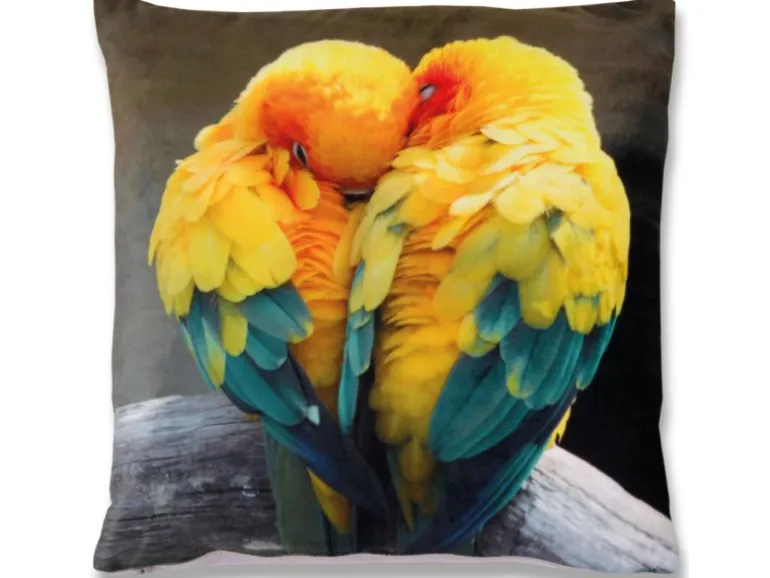 Bestlivings Kissenhülle Fotodruck 40 x 40 cm Sittiche Ohne Füllung