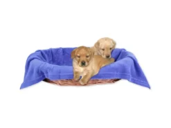 Bestlivings Tierdecke Hundedecke Mikrofaser 90 x 140 cm Blau