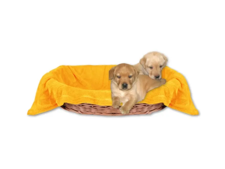 Bestlivings Tierdecke Hundedecke Mikrofaser 80 x 120 cm Hellorange