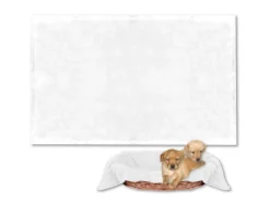 Bestlivings Tierdecke Hundedecke Mikrofaser 70 x 100 cm Weiß