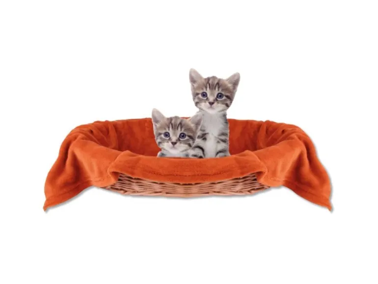 Bestlivings Tierdecke Katzendecke Mikrofaser 80 x 120 cm Terracotta