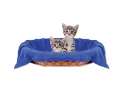 Bestlivings Tierdecke Katzendecke Mikrofaser 90 x 140 cm Blau