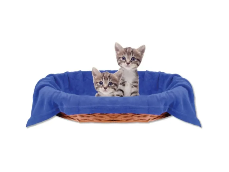 Bestlivings Tierdecke Katzendecke Mikrofaser 90 x 140 cm Blau