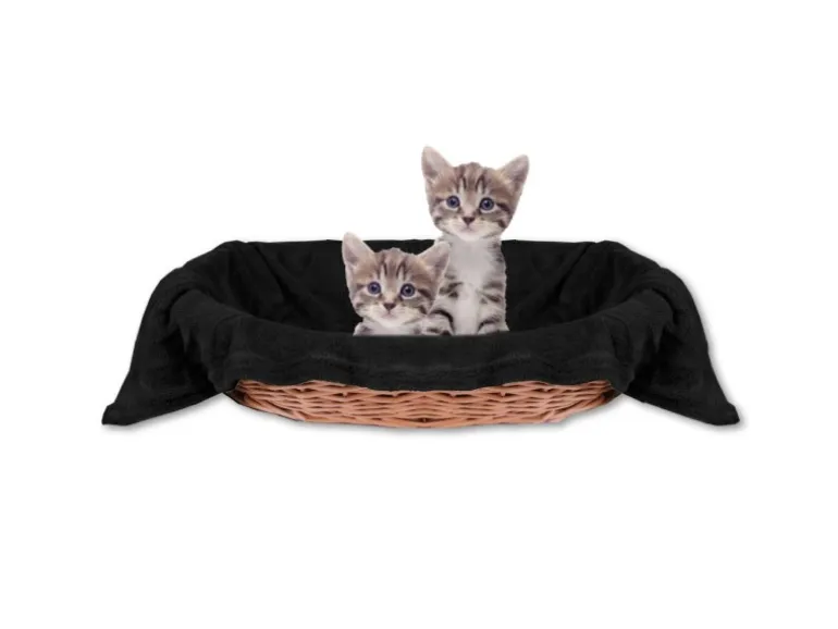 Bestlivings Tierdecke Katzendecke Mikrofaser 80 x 120 cm Schwarz
