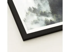 Bild mit Rahmen Anonymus Foggy Trees 32,5 cm x 32,5 cm