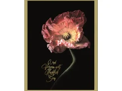 Bild mit Rahmen Anonymus Beautiful & Gold IV 42,5 cm x 32,5 cm