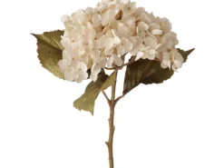 Boltze Stielblume Hortensie 52 cm x 25 cm x 9 cm Natur
