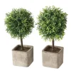Boltze Topfpflanze Amos 2-fach Sortiert 26 cm x 12 cm x 26 cm Grün