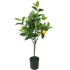 Boltze Topfpflanze Lemon Klein XS Grün-Gelb